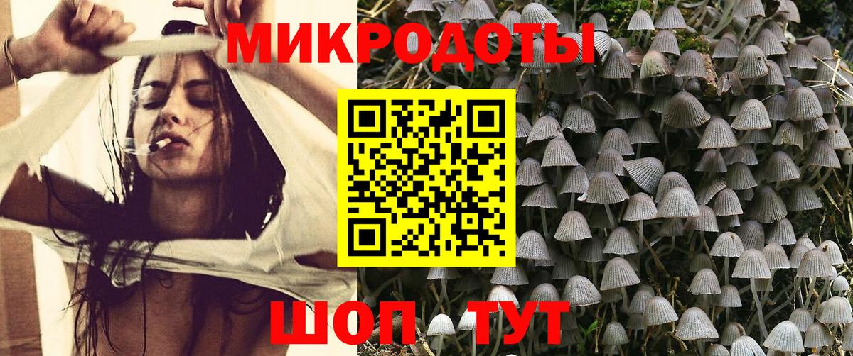 Кудрово  сколько стоит  Вход с VPN  Галлюциногенные грибы мицелий  Галлюциногенные грибы Cubensis 